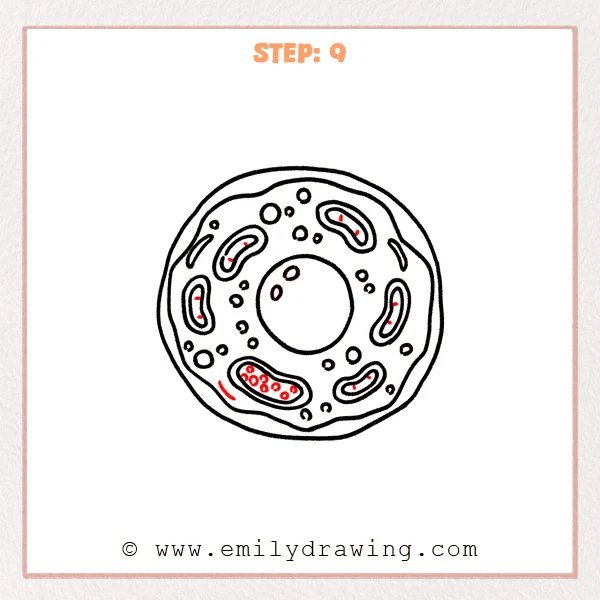 how to draw an animal cell - Step 9: The animal cell drawing is finalized with bold outlines and clean, clear details.